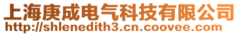 上海庚成電氣科技有限公司