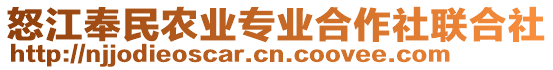 怒江奉民農(nóng)業(yè)專業(yè)合作社聯(lián)合社