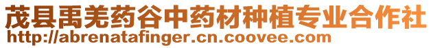 茂縣禹羌藥谷中藥材種植專業(yè)合作社