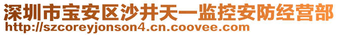 深圳市寶安區(qū)沙井天一監(jiān)控安防經營部