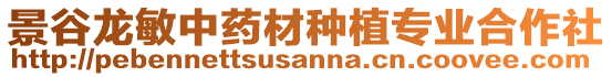 景谷龍敏中藥材種植專(zhuān)業(yè)合作社