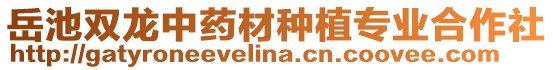 岳池雙龍中藥材種植專業合作社