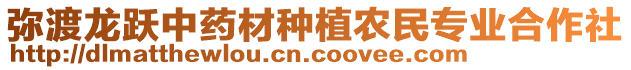 彌渡龍躍中藥材種植農(nóng)民專業(yè)合作社