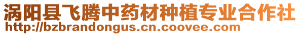 渦陽縣飛騰中藥材種植專業(yè)合作社