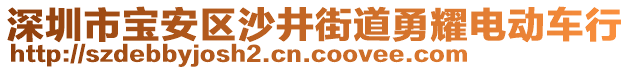 深圳市寶安區(qū)沙井街道勇耀電動車行