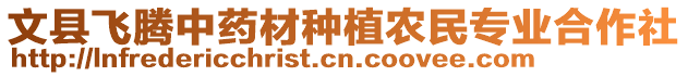 文縣飛騰中藥材種植農民專業合作社