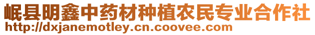 岷縣明鑫中藥材種植農(nóng)民專業(yè)合作社