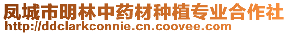 鳳城市明林中藥材種植專業(yè)合作社