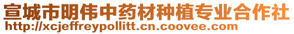 宣城市明偉中藥材種植專業(yè)合作社