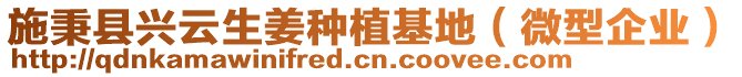 施秉縣興云生姜種植基地（微型企業(yè)）