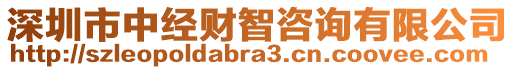 深圳市中經(jīng)財(cái)智咨詢有限公司