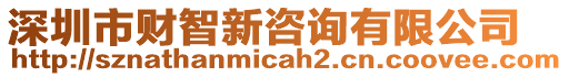 深圳市財(cái)智新咨詢有限公司