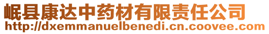 岷縣康達中藥材有限責任公司