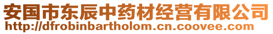 安國市東辰中藥材經營有限公司
