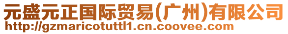 元盛元正國(guó)際貿(mào)易(廣州)有限公司