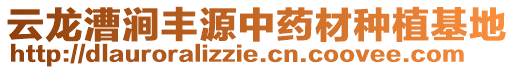 云龍漕澗豐源中藥材種植基地