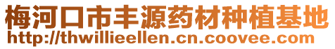 梅河口市豐源藥材種植基地