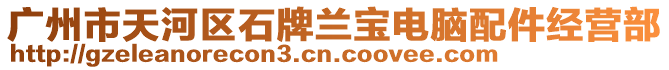 廣州市天河區石牌蘭寶電腦配件經營部