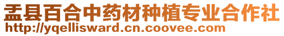 盂縣百合中藥材種植專業(yè)合作社