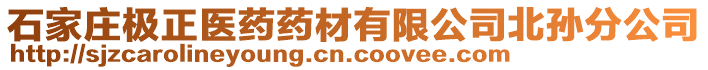 石家莊極正醫(yī)藥藥材有限公司北孫分公司