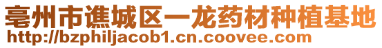 亳州市譙城區(qū)一龍藥材種植基地