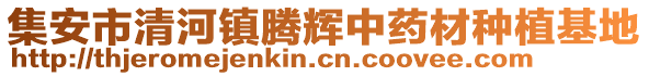 集安市清河鎮(zhèn)騰輝中藥材種植基地
