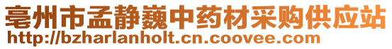 亳州市孟靜巍中藥材采購供應(yīng)站