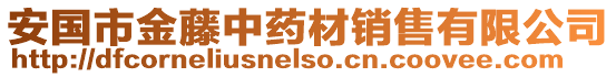 安國市金藤中藥材銷售有限公司