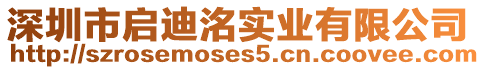 深圳市啟迪洺實業(yè)有限公司