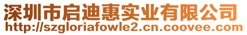 深圳市啟迪惠實(shí)業(yè)有限公司