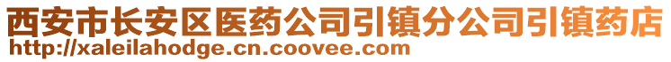 西安市長安區(qū)醫(yī)藥公司引鎮(zhèn)分公司引鎮(zhèn)藥店