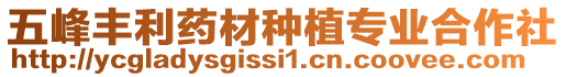 五峰豐利藥材種植專業(yè)合作社