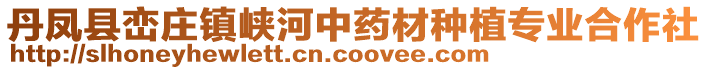 丹鳳縣巒莊鎮(zhèn)峽河中藥材種植專業(yè)合作社