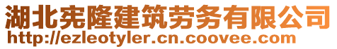 湖北憲隆建筑勞務(wù)有限公司