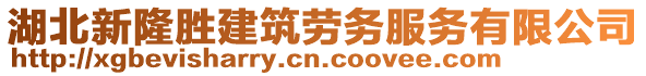 湖北新隆勝建筑勞務服務有限公司