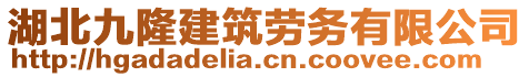 湖北九隆建筑勞務(wù)有限公司