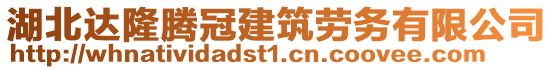 湖北達(dá)隆騰冠建筑勞務(wù)有限公司