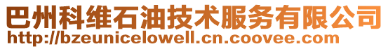 巴州科維石油技術(shù)服務(wù)有限公司
