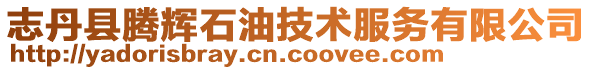 志丹縣騰輝石油技術服務有限公司