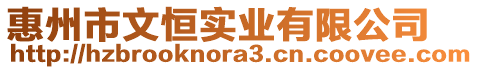 惠州市文恒實業(yè)有限公司