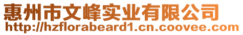 惠州市文峰實業(yè)有限公司