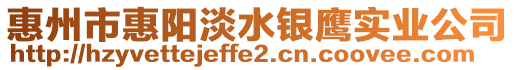 惠州市惠陽淡水銀鷹實業公司