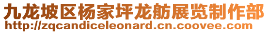 九龍坡區(qū)楊家坪龍舫展覽制作部