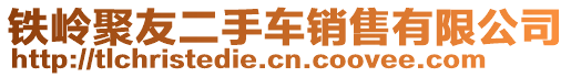 鐵嶺聚友二手車銷售有限公司