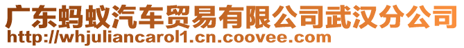 廣東螞蟻汽車貿(mào)易有限公司武漢分公司