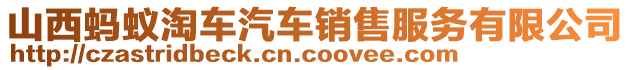 山西螞蟻淘車汽車銷售服務(wù)有限公司