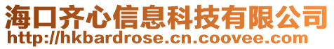 海口齊心信息科技有限公司