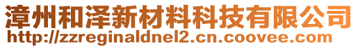 漳州和澤新材料科技有限公司