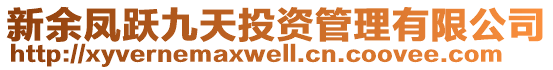 新余鳳躍九天投資管理有限公司