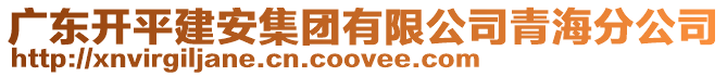 廣東開平建安集團有限公司青海分公司